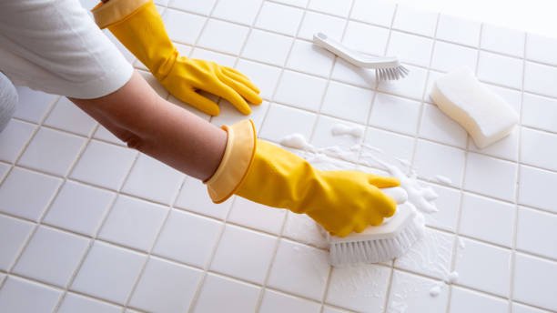 Professional Shower and Bathroom Cleaning